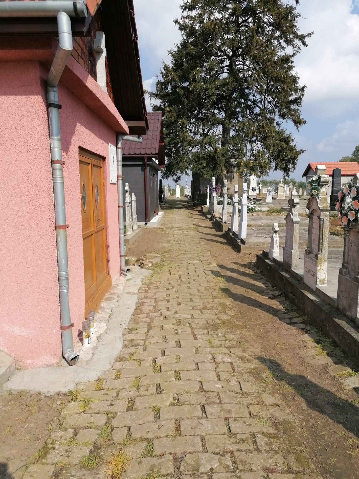 01_11_22 Friedhof GrJ -J_Koelmell (21)