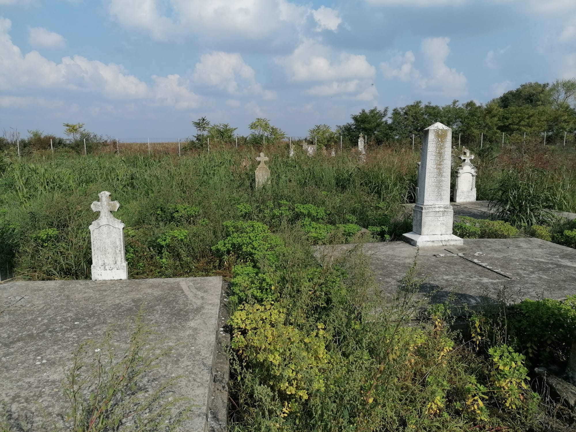 01_11_22 Friedhof GrJ -J_Koelmell (8)