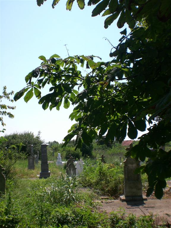 KlJ 16_07_2010 Friedhof (48)