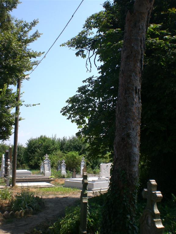 KlJ 16_07_2010 Friedhof(50)